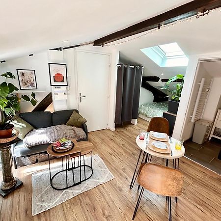 Loft Hortensia Climatise Hyper Centre Castres Castres (Tarn) Exteriér fotografie
