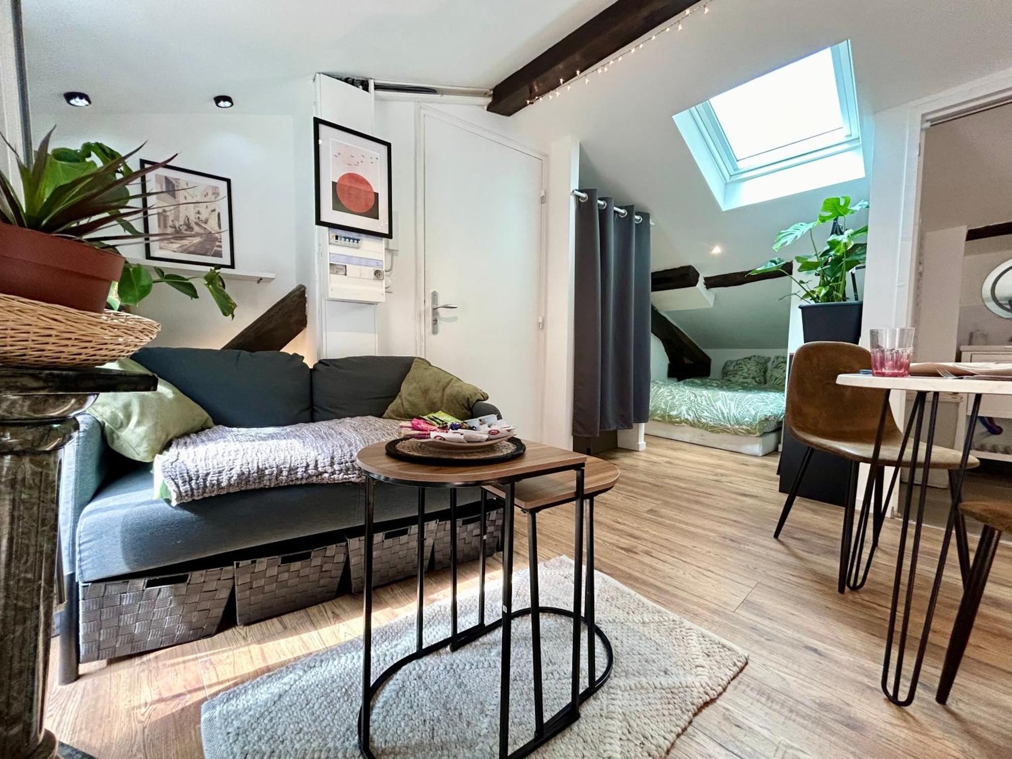 Loft Hortensia Hyper Centre Castres Castres  Exteriér fotografie