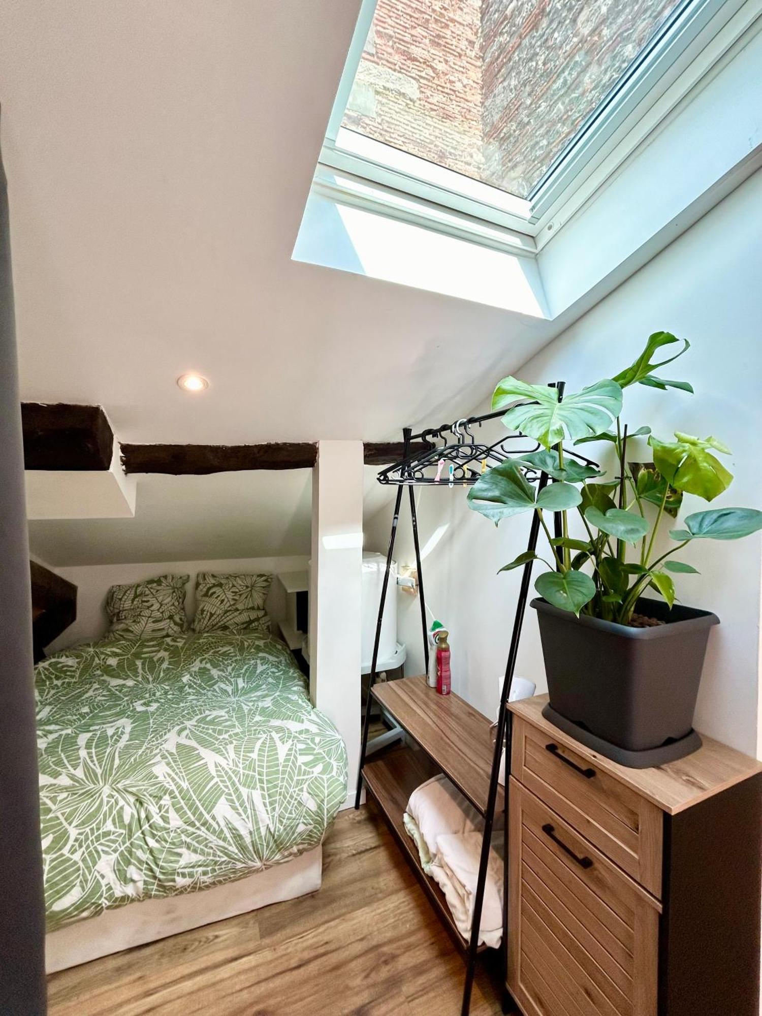 Loft Hortensia Hyper Centre Castres Castres  Exteriér fotografie