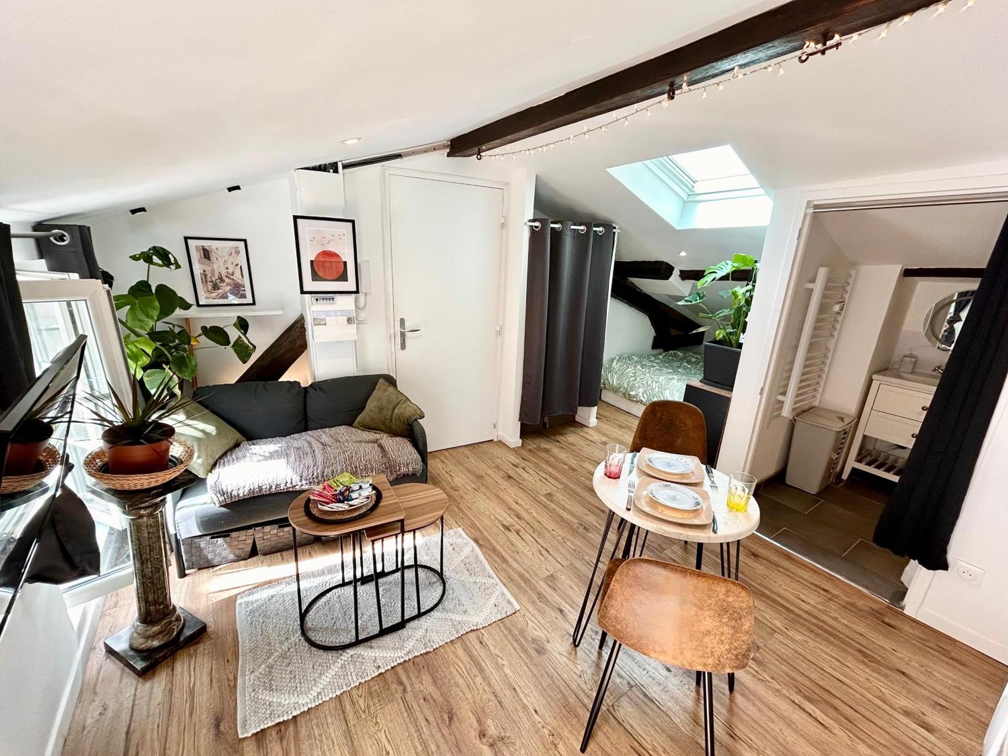 Loft Hortensia Climatise Hyper Centre Castres Castres (Tarn) Exteriér fotografie